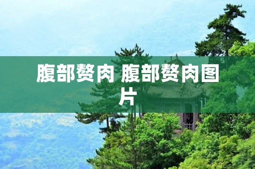 腹部赘肉 腹部赘肉图片