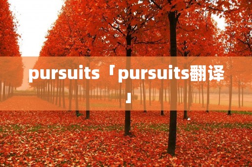 pursuits「pursuits翻译」