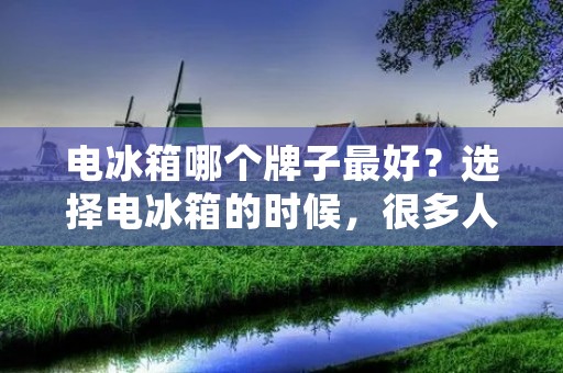 电冰箱哪个牌子最好?选择电冰箱的时候,很多人会问这个问题。毕竟,电冰箱是家庭生活中必不可少的电器之一,选择一款性价比高、品质可靠的电冰箱对于家庭生活来说非常重要。那么,到底哪个牌子的电冰箱最好呢?下面就为大家一一介绍。 电冰箱哪个牌子最好?选择电冰箱的时候,很多人会问这个问题。毕竟,电冰箱是家庭生活中必不可少的电器之一,选择一款性价比高、品质可靠的电冰箱对于家庭生活来说非常重要。那么,到底哪个牌子的电冰箱最好呢?下面就为大家一一介绍。