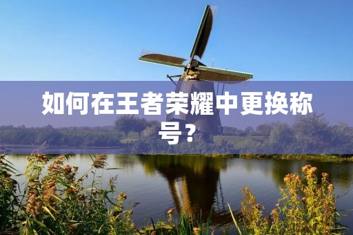 如何在王者荣耀中更换称号? 如何在王者荣耀中更换称号?