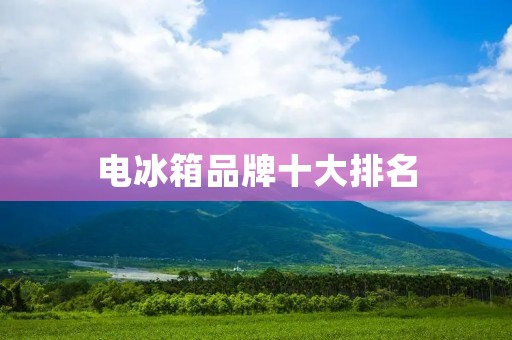 电冰箱品牌十大排名：质量与口碑共赢