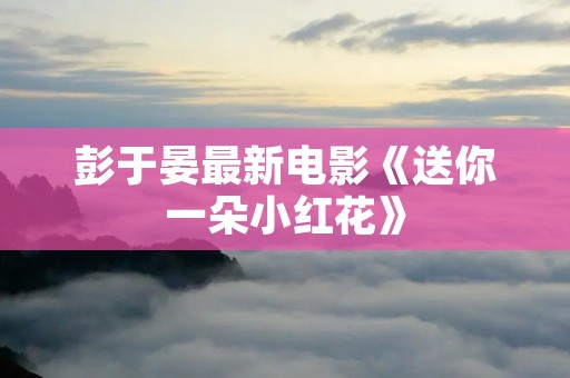 彭于晏最新电影《送你一朵小红花》:探讨亲情与成长的温情之作