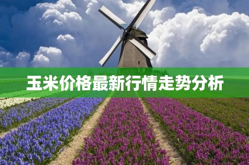 玉米价格最新行情走势分析