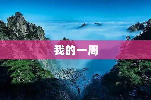 我的一周