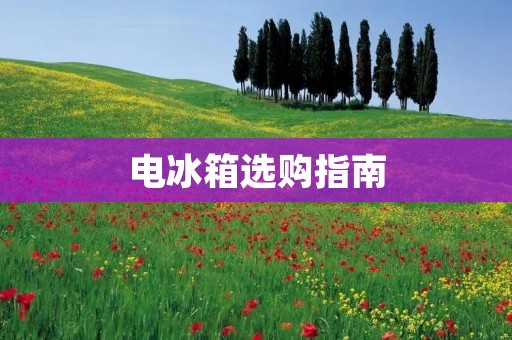 电冰箱选购指南：哪些品牌值得信赖？
