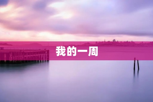 我的一周 我的一周