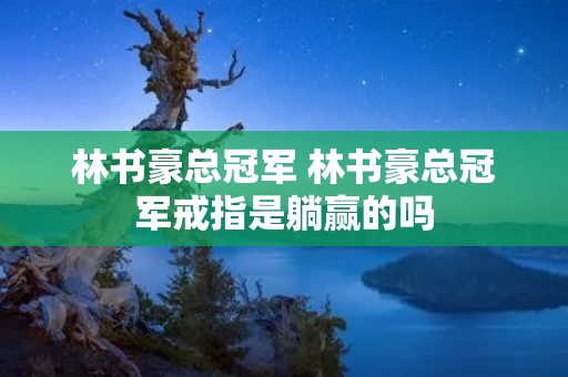 林书豪总冠军 林书豪总冠军戒指是躺赢的吗