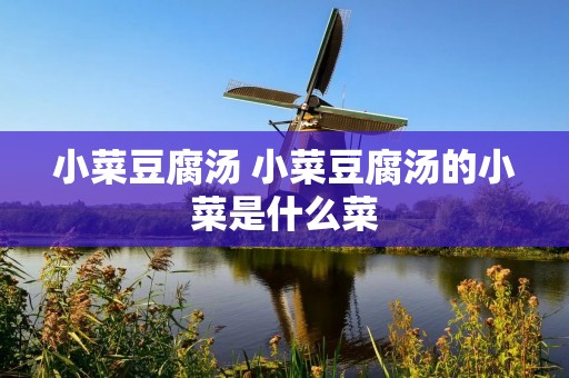 小菜豆腐汤 小菜豆腐汤的小菜是什么菜 小菜豆腐汤 小菜豆腐汤的小菜是什么菜