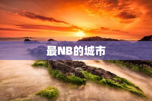 最NB的城市：上海，让你惊叹的现代化之都
