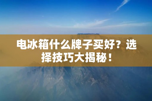电冰箱什么牌子买好？选择技巧大揭秘！