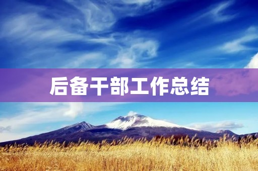 后备干部工作总结