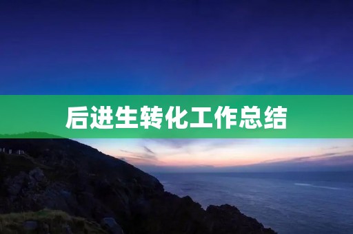 后进生转化工作总结