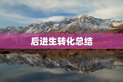 后进生转化总结:走出困境的关键