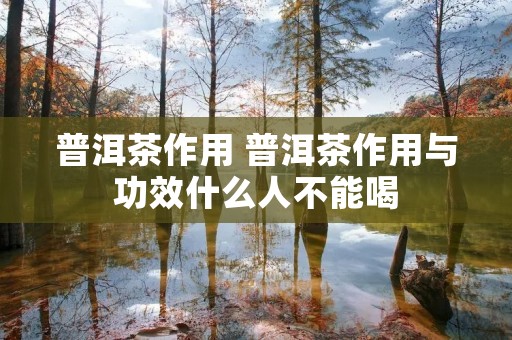 普洱茶作用 普洱茶作用与功效什么人不能喝 普洱茶作用 普洱茶作用与功效什么人不能喝
