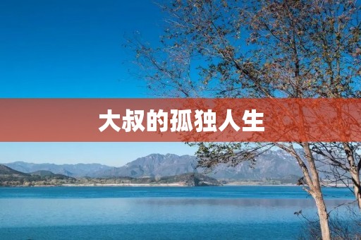 大叔的孤独人生:一位中年男人的自白