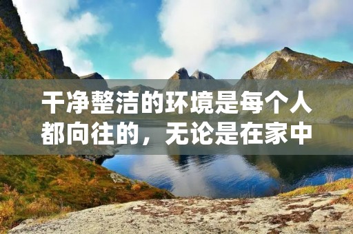 干净整洁的环境是每个人都向往的，无论是在家中还是在公共场所，都希望能够呈现出一种清新的感觉。在这个快节奏的现代社会中，很多人忙于工作和生活，没有太多的时间去打理自己的环境，导致了环境的脏乱和杂乱无章。然而，干净整洁的环境对于个人的身心健康以及社会的和谐稳定都有着非常重要的作用。
