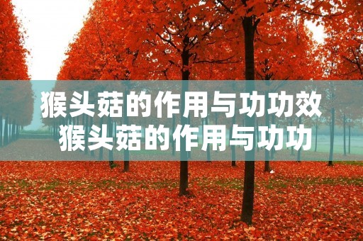 猴头菇的作用与功功效 猴头菇的作用与功功效百度百科
