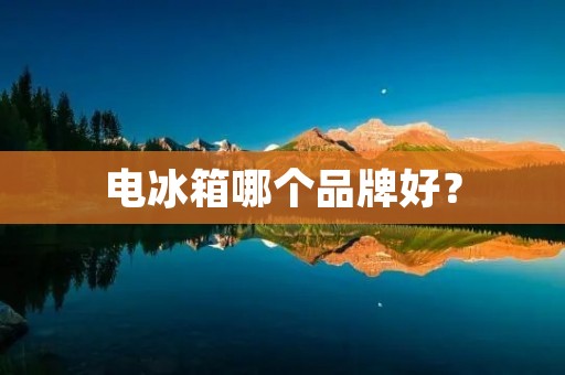 电冰箱哪个品牌好？