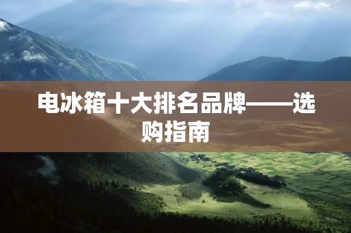 电冰箱十大排名品牌——选购指南 电冰箱十大排名品牌——选购指南