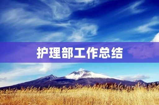 护理部工作总结:优化管理提升服务水平