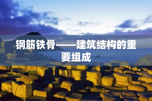 钢筋铁骨——建筑结构的重要组成