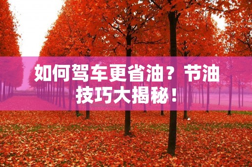 如何驾车更省油?节油技巧大揭秘! 如何驾车更省油?节油技巧大揭秘!