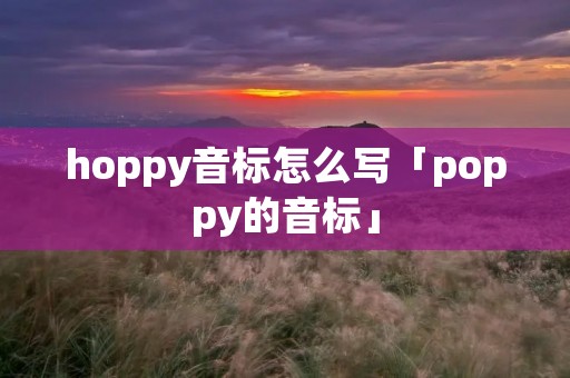 hoppy音标怎么写「poppy的音标」