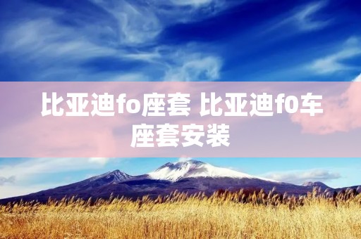 比亚迪fo座套 比亚迪f0车座套安装