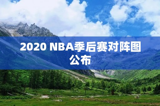 2020 NBA季后赛对阵图公布：湖人和雄鹿领衔，谁能问鼎总冠军？
