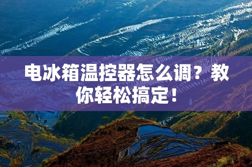 电冰箱温控器怎么调？教你轻松搞定！