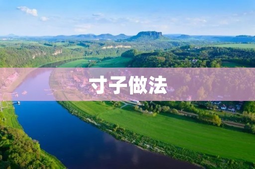 寸子做法:让你轻松制作美味寸子的秘诀 寸子做法:让你轻松制作美味寸子的秘诀