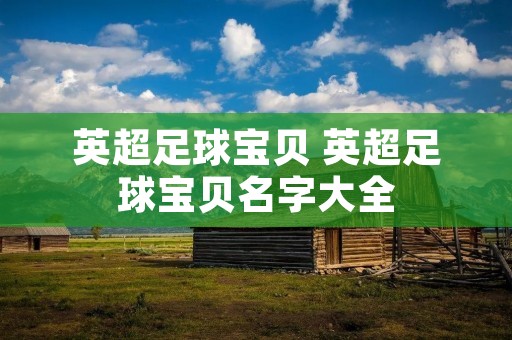 英超足球宝贝 英超足球宝贝名字大全 英超足球宝贝 英超足球宝贝名字大全