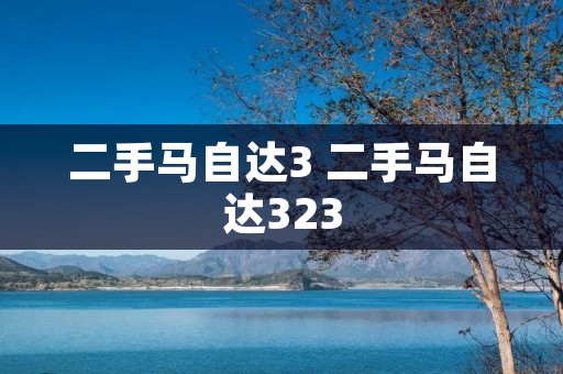 二手马自达3 二手马自达323