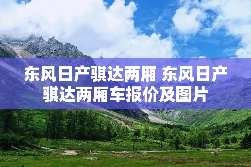 东风日产骐达两厢 东风日产骐达两厢车报价及图片