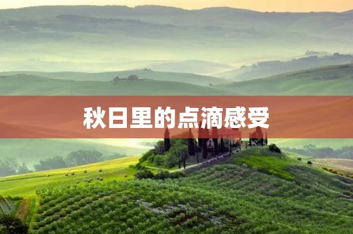 秋日里的点滴感受