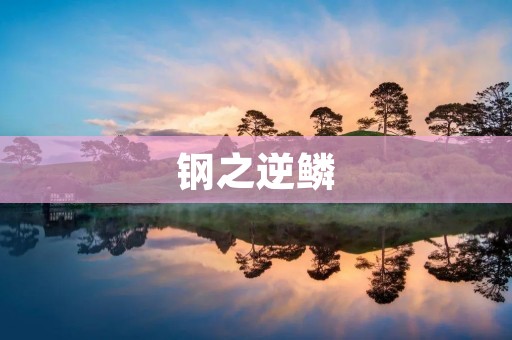 钢之逆鳞：一部让人热血沸腾的玄幻小说