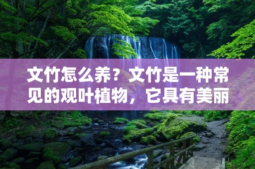 文竹怎么养?文竹是一种常见的观叶植物,它具有美丽的形态和独特的韵味,被广泛地用于室内和办公室的装饰。文竹的养殖方法相对简单,但是仍然需要注意一些事项,下面来详细介绍一下文竹的养殖方法和注意事项。