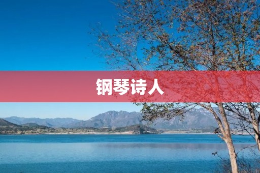 钢琴诗人:一位用音符书写诗歌的艺术家 钢琴诗人:一位用音符书写诗歌的艺术家