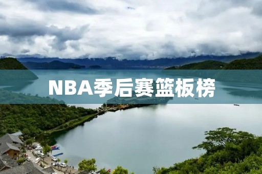 NBA季后赛篮板榜：谁能成为最佳篮板手？