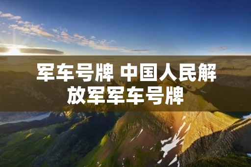 军车号牌 中国人民***军车号牌 军车号牌 中国人民***军车号牌