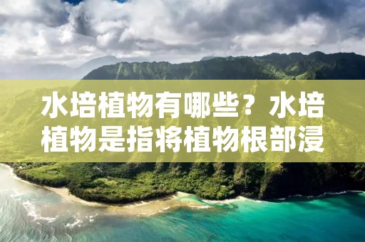 水培植物有哪些?水培植物是指将植物根部浸泡在水中,并通过水中的营养液来满足植物生长的需求。相比于传统土培植物,水培植物更加环保、易于管理和收获。下面我们来了解一下常见的水培植物有哪些。