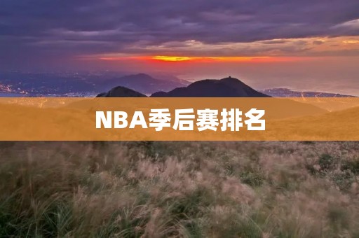 NBA季后赛排名：谁将成为最终的冠军？