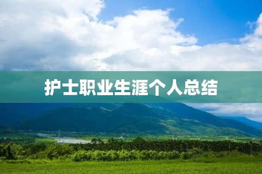 护士职业生涯个人总结