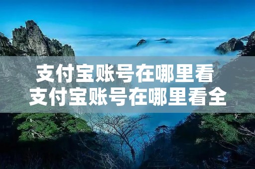 支付宝账号在哪里看 支付宝账号在哪里看全部 支付宝账号在哪里看 支付宝账号在哪里看全部