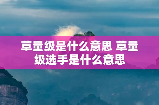 草量级是什么意思 草量级选手是什么意思 草量级是什么意思 草量级选手是什么意思