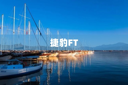 捷豹FT:一款极富攻击性的豪华跑车 捷豹FT:一款极富攻击性的豪华跑车