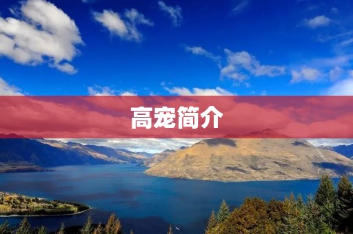 高宠简介:一位才华横溢的文学** 高宠简介:一位才华横溢的文学**