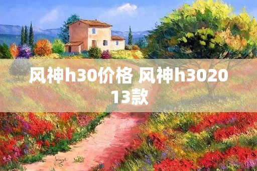 风神h30价格 风神h302013款