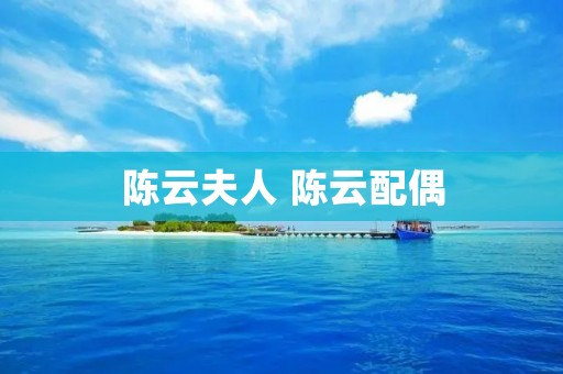 陈云夫人 陈云配偶