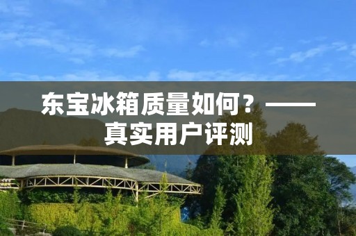 东宝冰箱质量如何？——真实用户评测